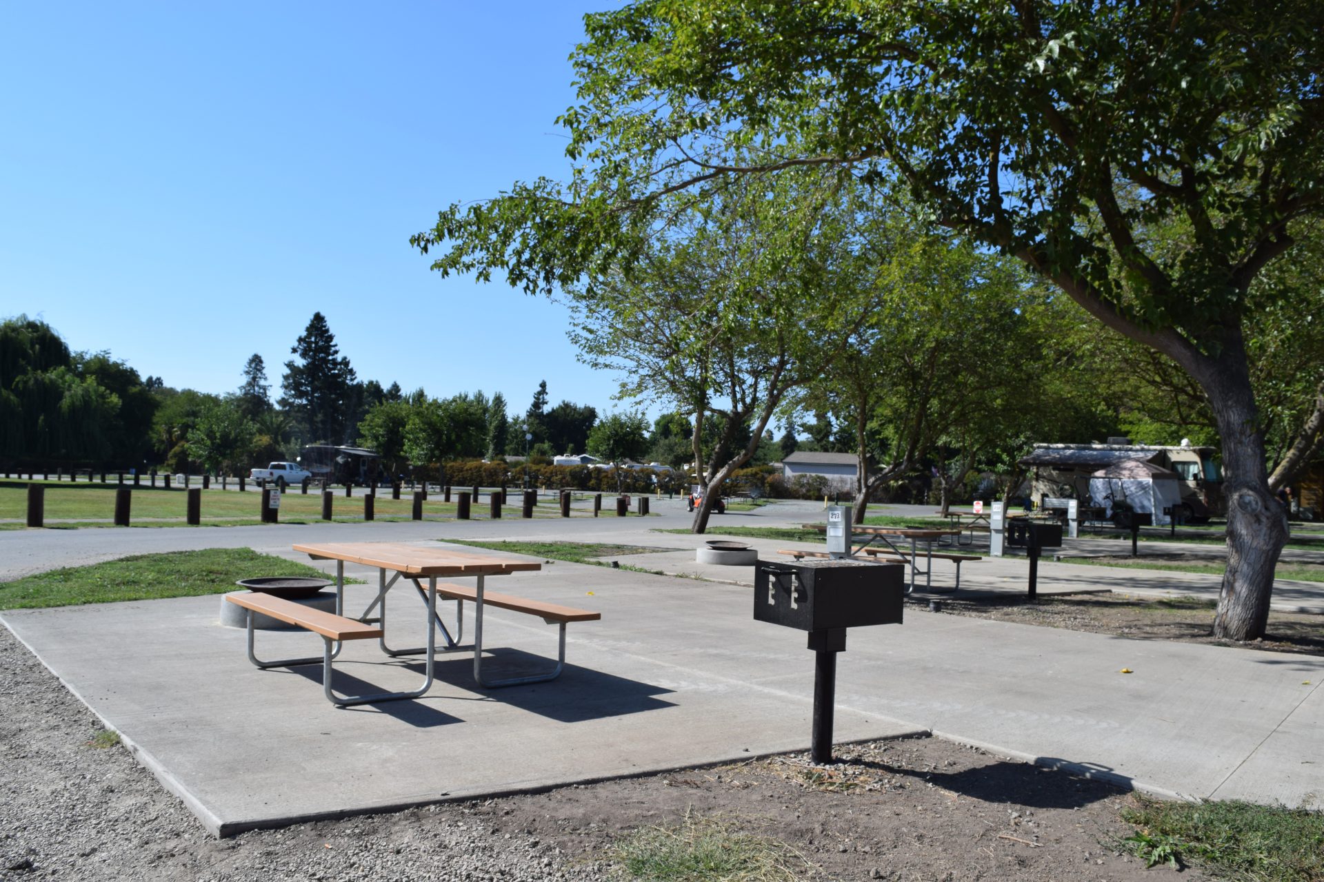 Yogi Bear's Jellystone Park CampResort at Tower Park Camp California