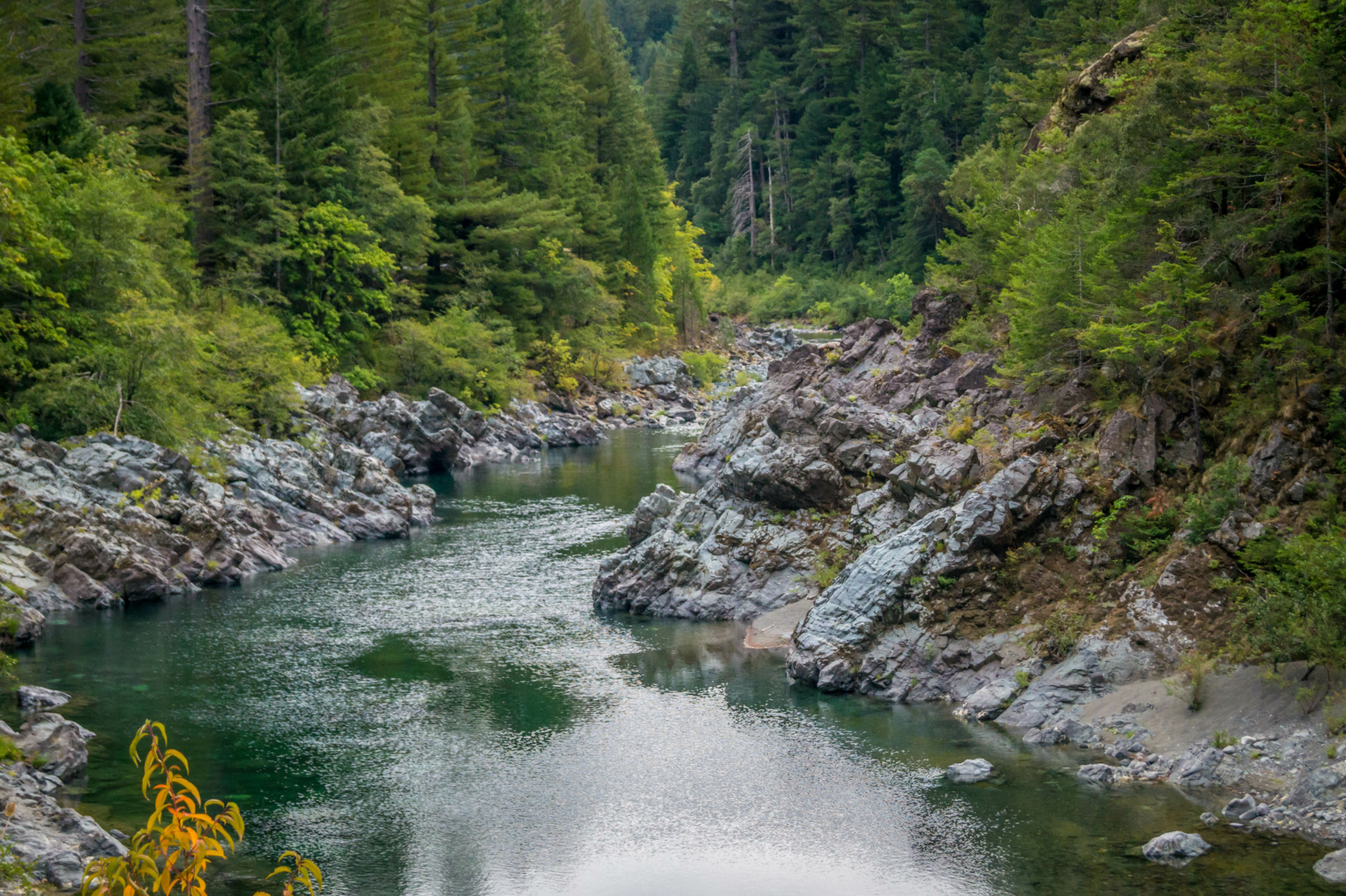 California's Natural Wonders - Camp California