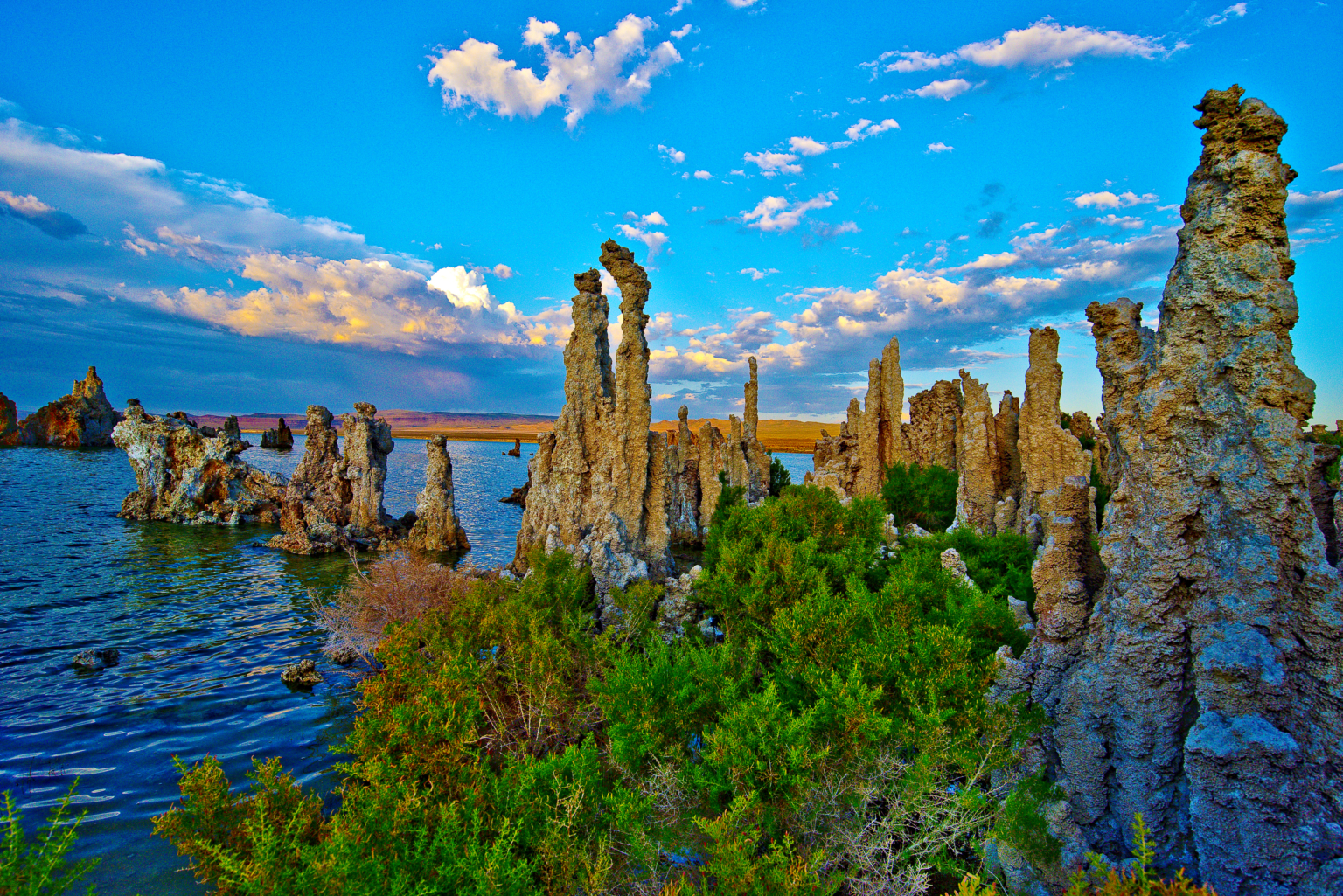 California's Natural Wonders - Camp California