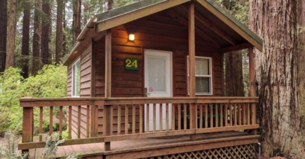 Emerald Forest Cabin & RV