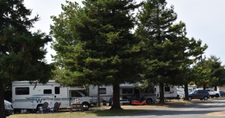 Mad River Rapids RV Park