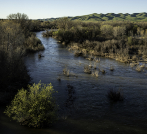 River, Stream, Creek, or Brook?