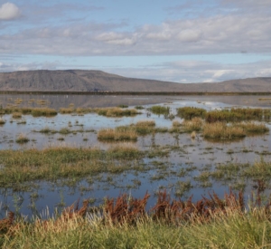 Tulare Lake, California: A Resilient Ecosystem Lost to History