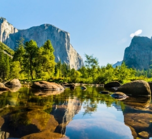 Summer Time Overcrowding is Affecting Yosemite National Park