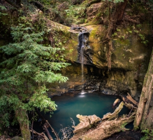 Sempervirens Falls