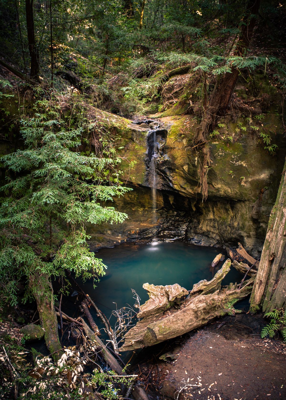 Sempervirens Falls