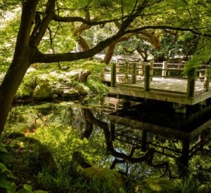 San Francisco Botanical Garden