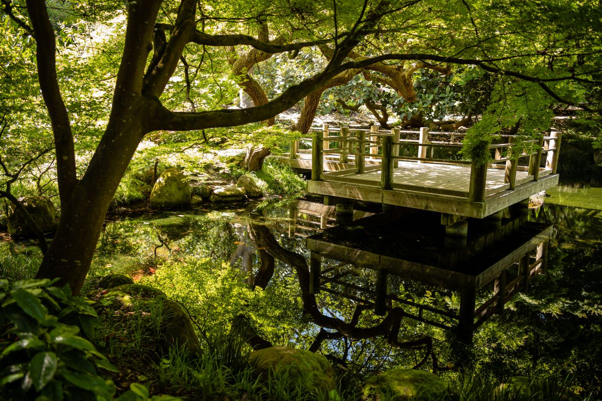 San Francisco Botanical Garden