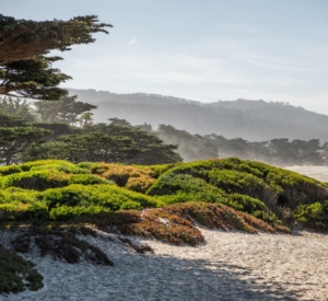 Carmel Beach